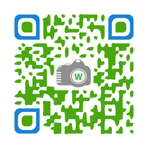 Wing Chau London photography QR Code with design